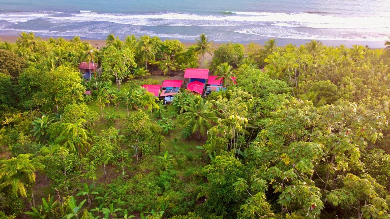 Tortuga Bay Eco Hotel El Valle  Esterno foto