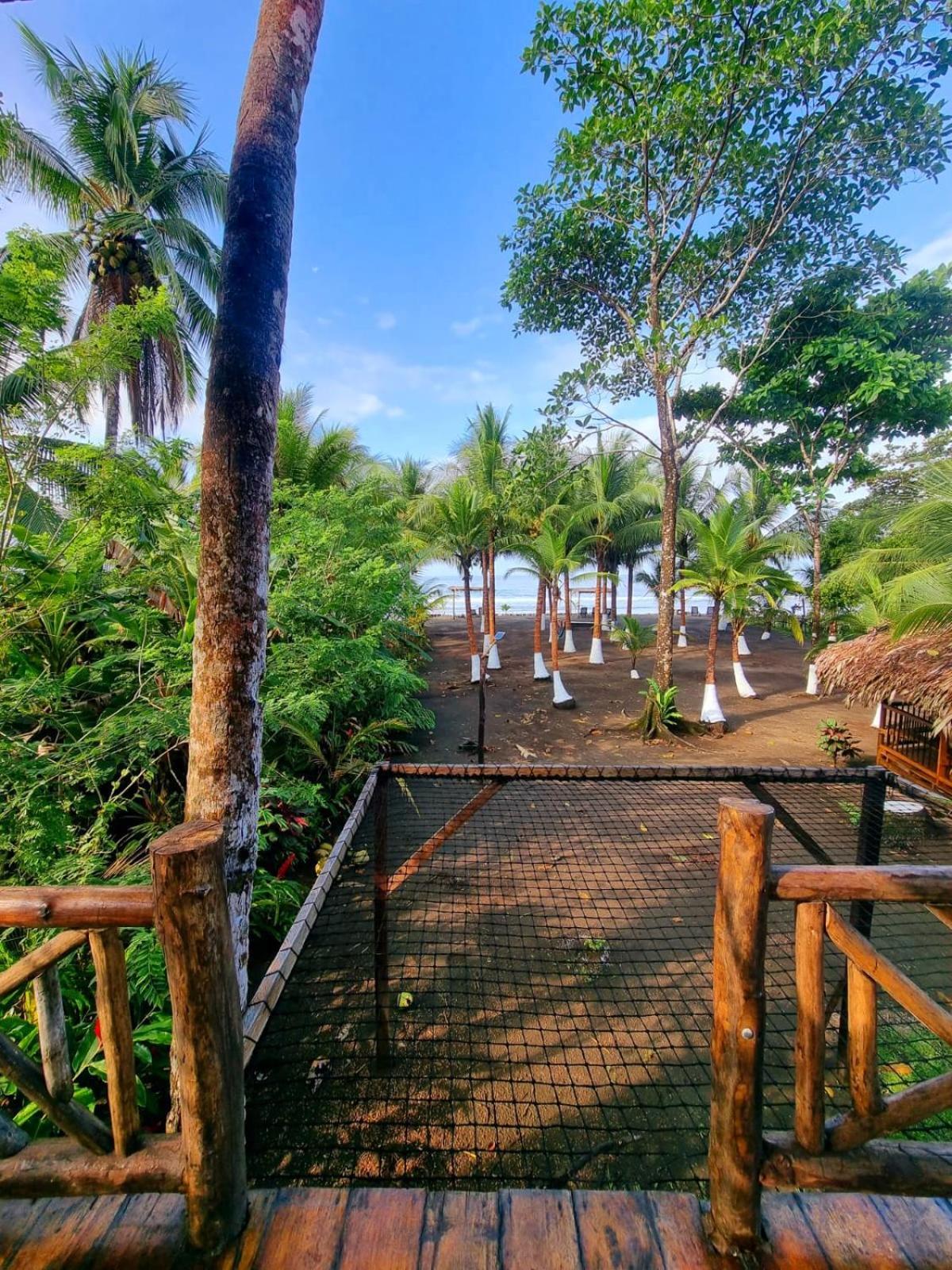 Tortuga Bay Eco Hotel El Valle  Camera foto